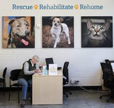 9167 dickey road nw silverdale, wa 98383. No More Dog Pound Pets At Kitsap Humane Society Get Open Airy Adoption Center