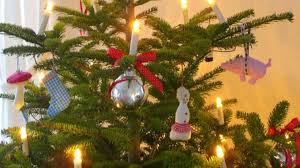 2 Astuces Pour Faire Durer Votre Sapin De Noel Plus Longtemps Sapin De Noel Arbres De Noel Noel