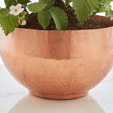 Find for discount copper planter pot by zarposh india check price now. Large Solid Copper Planter From India Copper Planters Planters Indoor Planters
