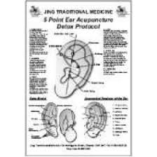 Jing Traditional Medicine 5 Point Detox Ear Chart