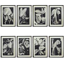 Black And White Framed Prints Leaf Photogram Framed Prints Set Of Eight Prints Black White Wall Art Framed Prints