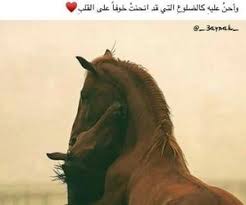 1000 images about songs poetry writings on we heart it see more about ح ب ﻋﺮﺑﻲ and ﺭﻣﺰ love quotes wallpaper beautiful arabic words arabic quotes