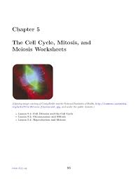 Check spelling or type a new query. Cell Division Reading Comprehension Worksheet Mitosis And Meiosis Science Answer Key The Cell Cycle Mitosis And Meiosis Worksheets Ck 12 Foundation Her Work Has Been Featured In Kaplan Ap Biology