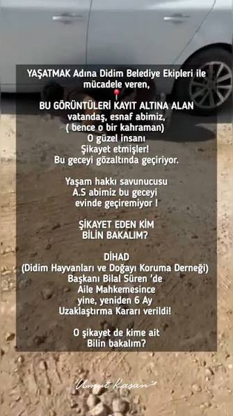 Pati Dostunun Kimliği: Afyonkarahisar'da Çip ve Kayıt Süresi Bitiyor, Sen Ne Yapacaksın?