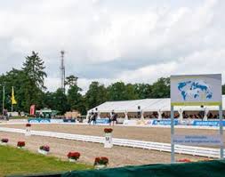 The standard arena is 20 by 60 m (66 by 197 ft), and is used for tests in both pure dressage and eventing. Highlights In The Dressage Arena At The 2017 Cdi Verden International