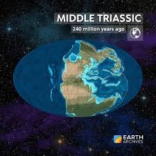 By The Early To Middle Triassic Seen Here 240 Million Years Ago Pangaea Took Its Final Form In The Water The First Turtles Geografie Kartographie Alte Schrift