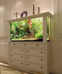 Living Room Love The Dresser Part Of The Stand For African Ciclids West Wall Diy Fish Tank Fish Tank Stand Home Aquarium