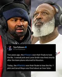 The owners are ... Running wild in...