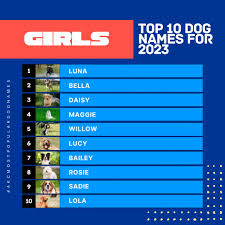 American Kennel Club added a new photo.