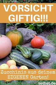 Giftige Kurbis Sorten Kurbis Pflanzen Zucchini Pflanzen Und Pflanzen