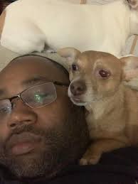 Lost dog in east Fort Myers area?