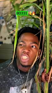 GEEEEE🫡🔥@Dogo Elisha @SINGELI TRENDING 🎶