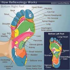 Reflexology Foot Chart Foot Reflexology Reflexology