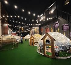 Igloos are ready! 🎉 We have 2 igloos and 2 greenhouses (all are heated).  You can reserve a table in a greenhouse, or reserve a full igloo. Igloos  have a reservation fee