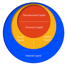 The Five Capitals Forum For The Future Ecological Systems Social Capital Sustainable Development