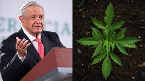 La legalizacion de la marihuan es indispensable ya que no hace ningun mal y ademas de la tierra crece eso solo es natural no puede ser que aga daño a nadie. A6jbpvis7 Bnm