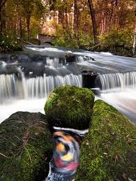 We did not find results for: As The Color Turns Rhode Island Travel Newport Rhode Island Beautiful Places To Visit