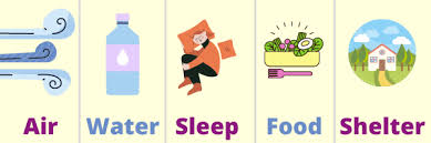 Back To Basics For Good Mental Health