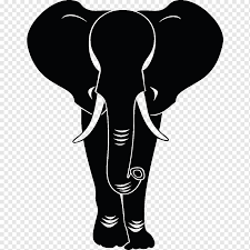Gajah tunggal tbk pt gajah mada alor gajah district batu gajah smk gajah berang alor gajah goa gajah. Gajah India Gajah Afrika Elephantidae Afrika Mamalia Monokrom Bertulang Belakang Png Pngwing