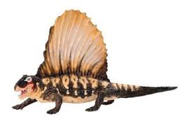 A carnivorous synapsid, of the genus dimetrodon, from the permian period. Safari Ltd 403801 Dimetrodon 18 Cm Series Dinosaur