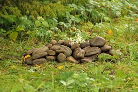 Rechtliches einen hund begraben im garten ist nur dann zulässig, wenn dieser garten zu einem privatgrundstück gehört. Haustiere Begraben Im Eigenen Garten Was Ist Erlaubt Selbermachen De