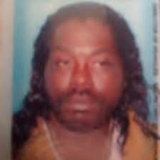 How to get rid of yellow jackets!