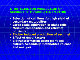 Oct 18, 2017 · cell suspension culture 2. In Vitro Plant Tissue Culture System 2 Case Studies Ppt Video Online Download