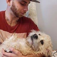 20+ "Dane Fernandez" profiles