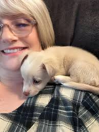 Will a pomchi's fur fill out with age?