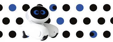 Publication | Hong Kong Design Institute