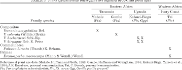 Image result for Vernonia kirungae