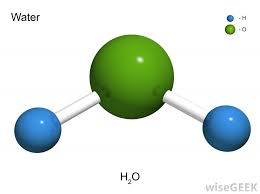 Maltase (ec 3.2.1.20) is one enzyme produced by the cells lining the small intestine to break down. What Is Maltase With Pictures