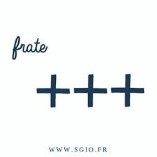 Epingle Sur Sgio La Marque Corse