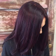 Black And Dark Red Highlights Beautiful Plum Color With Red Violet Highlights By Victoria At Collage Salon Coloracion De Cabello Cabello Vino Tinte Para Cabello Rizado
