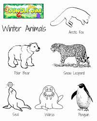 Free Woodland Animal Coloring Pages Unique Coloring Winter Animal Free Printable Coloring Page In 2020 Bear Coloring Pages Animal Coloring Pages Coloring Pages Winter