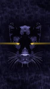 Maybe you would like to learn more about one of these? Black Panther Animal Iphone Wallpaper Iphone Wallpapers Black Panther Animal Animals Animal Wallpaper