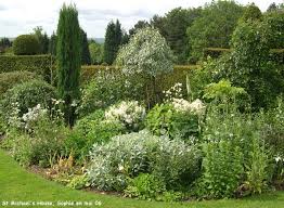 Massif D Arbustes 4 Amenagement Jardin Idees Jardin Plan Jardin