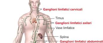 Capable de perfectionner du fait de la mobilité de la biologie médicale. Spitalul Oncofort Ofera O Sansa Vietii Tale Spital Oncologic La Nivel European Analize Medicale Gratuite Si Consult De Specialitate Pana Pe 30 Octombrie 2012