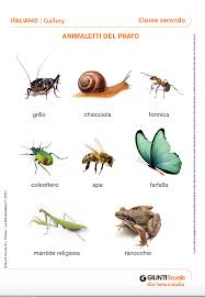 Coleções delprado colecionismo de qualidade. Gallery Animaletti Del Prato Gallery Animaletti Del Prato Giunti Scuola