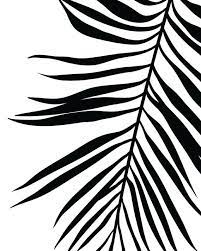 A clear acrylic facing is added to protect the print. Palm Leaf Print Leaf Print Black And White Photography Black White Palm Tree Botanical Print Palm Tree Print Tropical Poster Art Collectibles Digital Prints Issho Ueno Com
