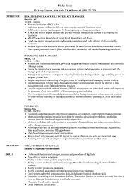 Insurance Resume Samples Velvet Jobs