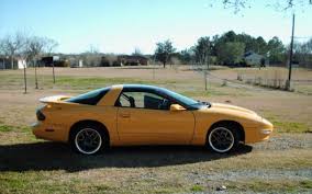 Image result for Yellow 1995 Fleet