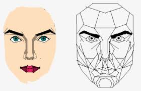 See female body template stock video clips. The Golden Ratio In Graphic Female Golden Ratio Face Png Transparent Png Kindpng