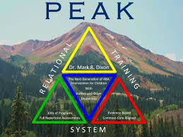 Peak Relational Training System Credits System Behavior Analyst Behavior Analysis