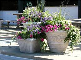 Hugedomains Com Flower Pots Outdoor Potted Plants Outdoor Large Flower Pots