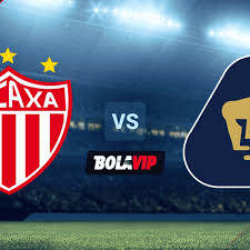 Jun 26, 2021 · sigue en directo el partido de guadalajara contra necaxa de amistosos de clubes 3 de amistosos de 2021 26/6. Vdzz3jvulwqfam
