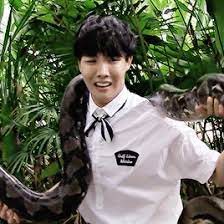 Treat all snakebites as though they were venomous. Pin On Bts
