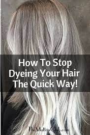Pin On Transition To Gray Hair
