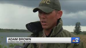 14-year-old attacked by alligator in Placida