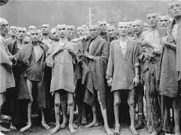 Image result for holocaust photos